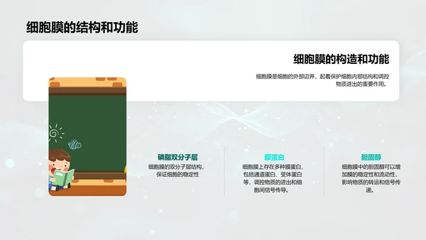 细胞学基础讲解