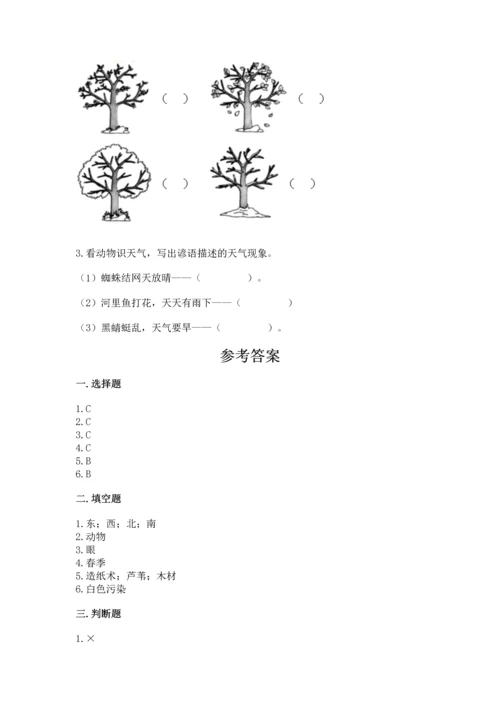 教科版二年级上册科学期末测试卷带答案（新）.docx