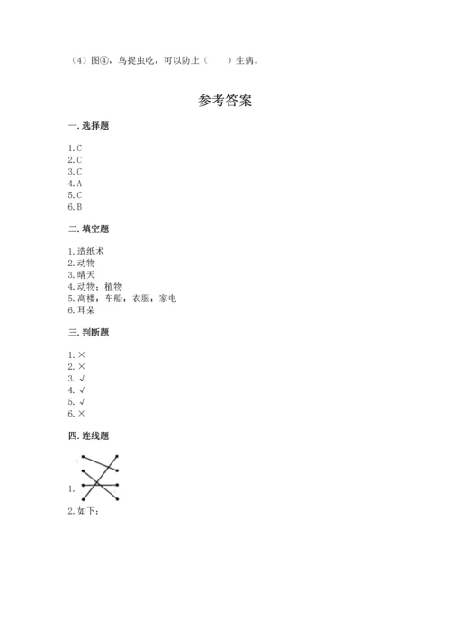 教科版二年级上册科学期末测试卷精品【综合题】.docx