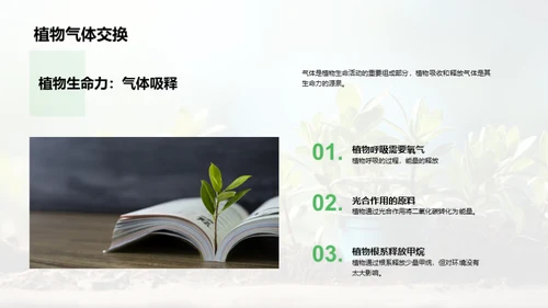 植物生长与园艺秘笈