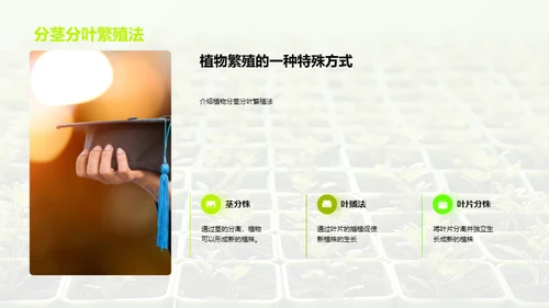 植物的奥秘世界