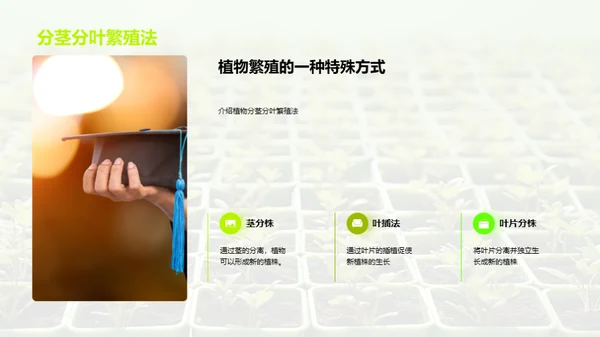 植物的奥秘世界
