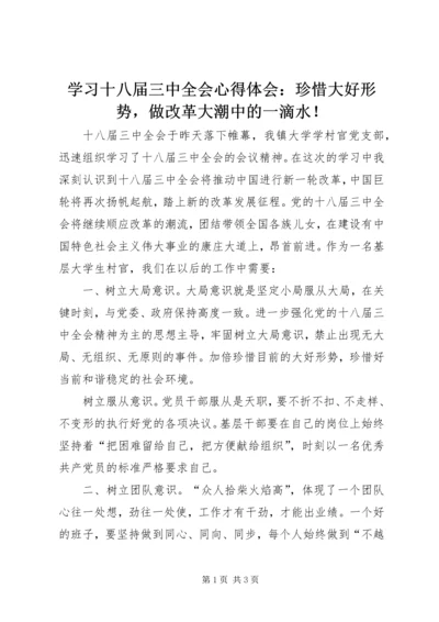 学习十八届三中全会心得体会：珍惜大好形势，做改革大潮中的一滴水！.docx