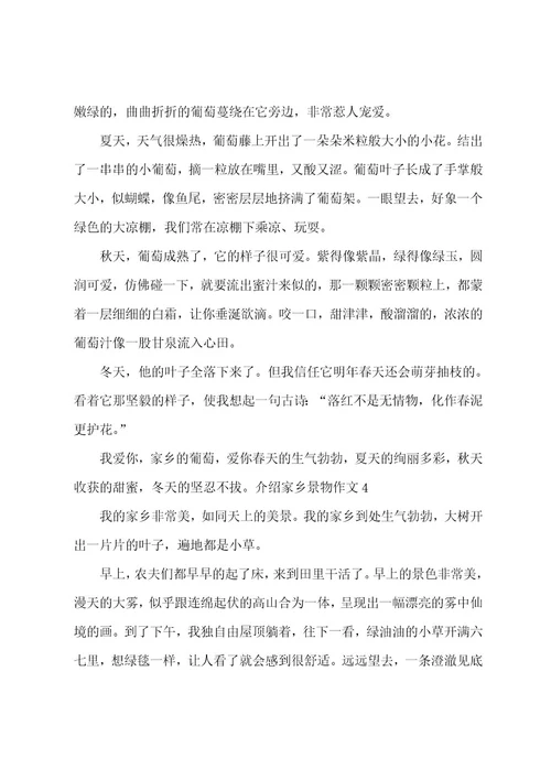 介绍家乡景物作文