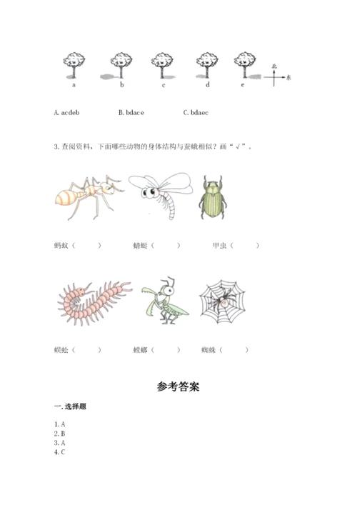 教科版三年级下册科学期末测试卷精品【名师系列】.docx