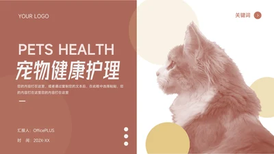 红色前沿图文宠物健康护理PPT模板