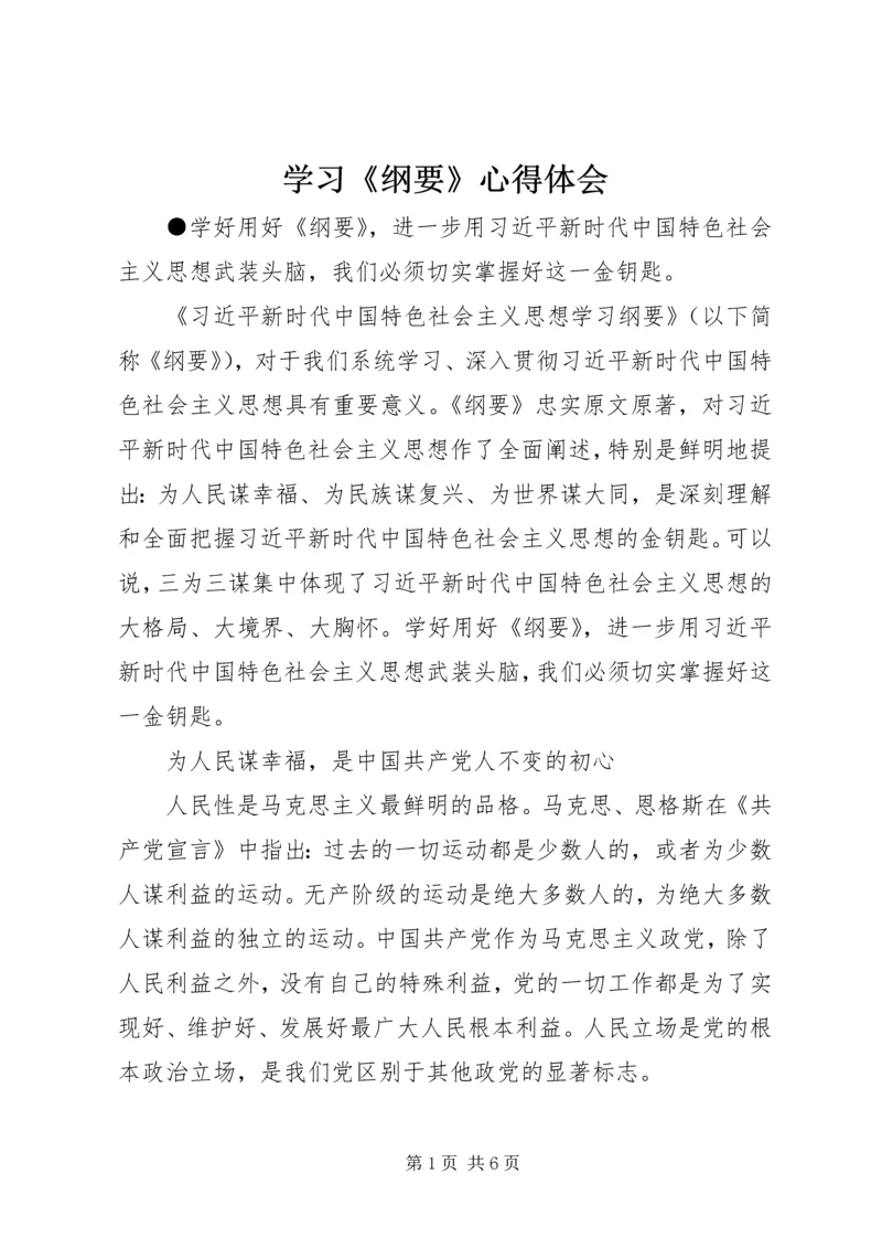 学习《纲要》心得体会 (6).docx