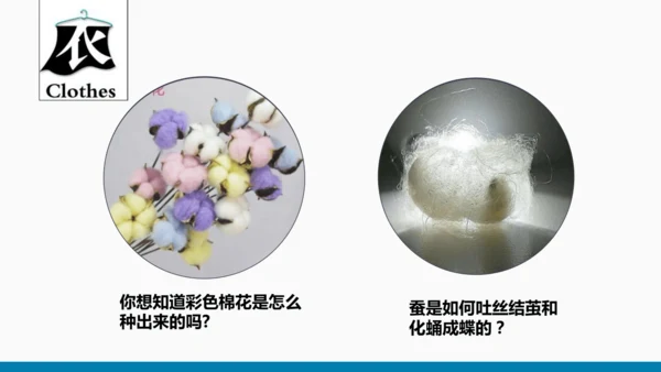 七年级生物学开学第一课-2023-2024学年七年级生物上册同步精品课堂（苏科版）(共32张PPT)
