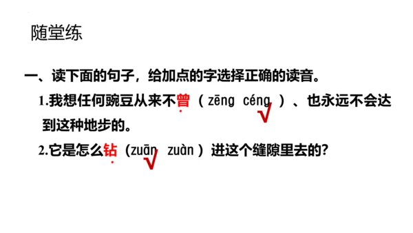 5《一个豆荚里的五粒豆》  课件