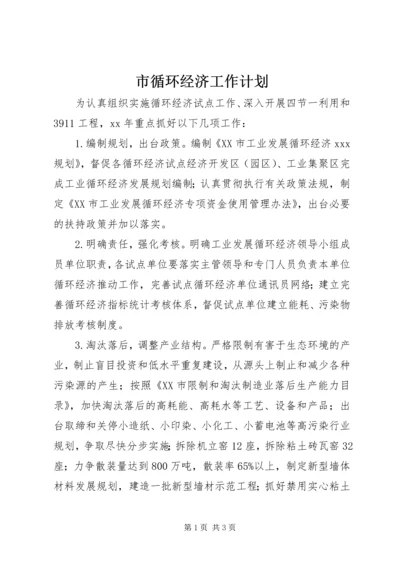 市循环经济工作计划 (2).docx