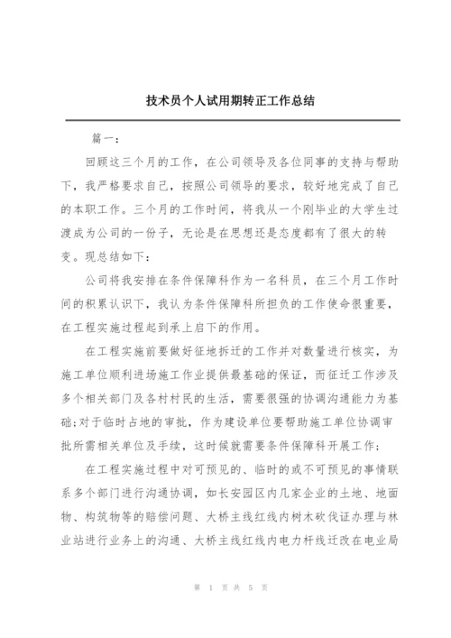 技术员个人试用期转正工作总结.docx