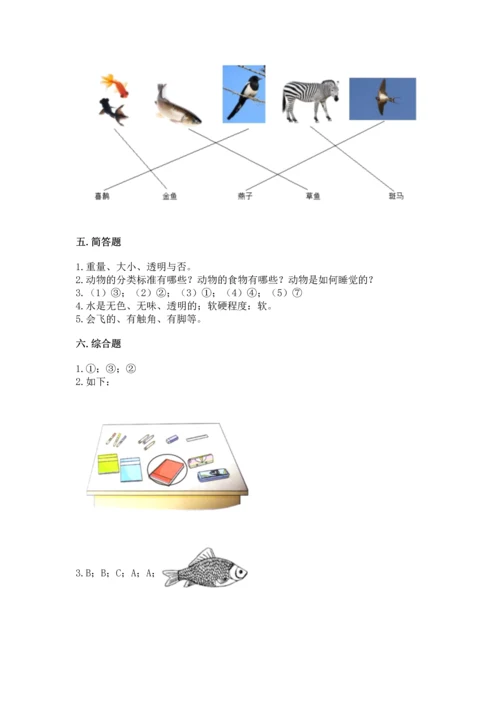 教科版一年级下册科学期末测试卷及参考答案（轻巧夺冠）.docx