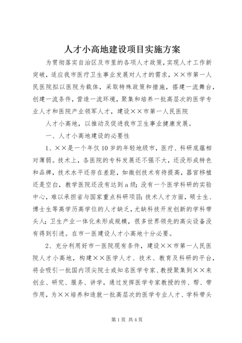 人才小高地建设项目实施方案.docx