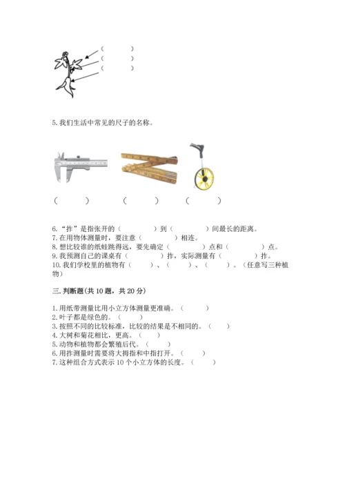 教科版一年级上册科学期末测试卷精品（基础题）.docx