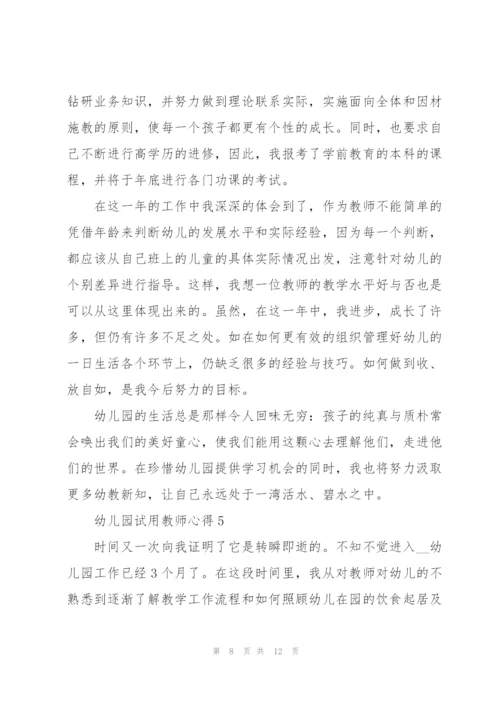 幼儿园试用教师心得.docx