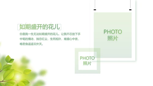 致青春大学毕业纪念册毕业旅行PPT