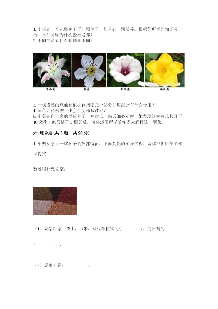 科学四年级下册第一单元植物的生长变化测试卷精品（各地真题）.docx