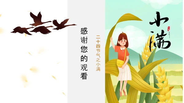 食粮丰收麦穗小满PPT模板