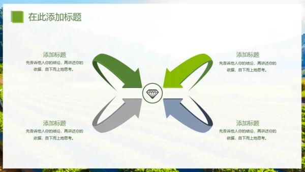 乡村振兴精准扶贫，特色农业项目计划书通用PPT模板