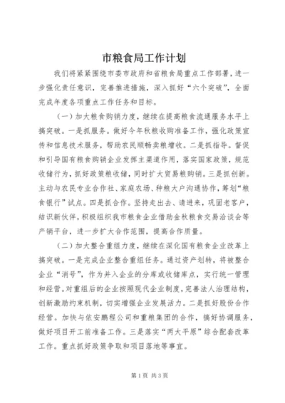 市粮食局工作计划 (7).docx