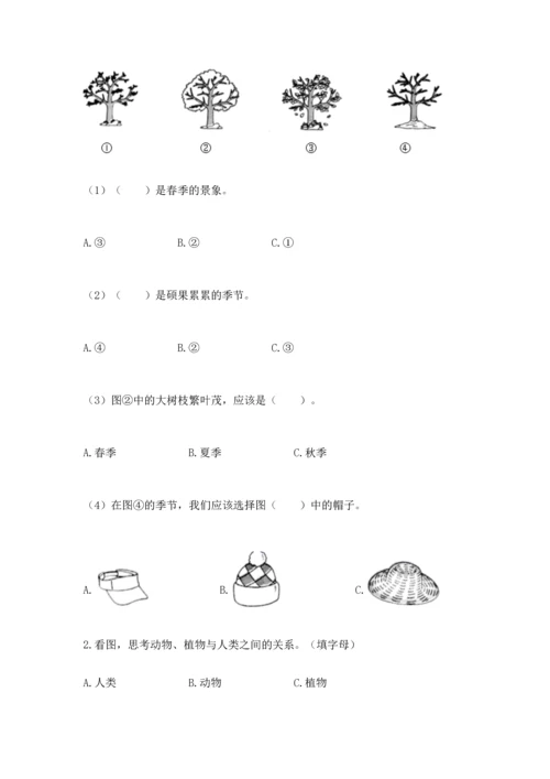 教科版二年级上册科学期末测试卷含答案【最新】.docx