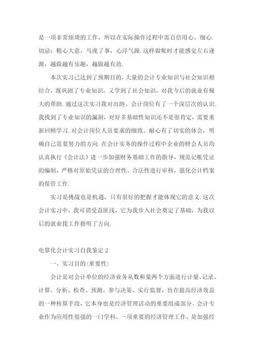 电算化会计实习自我鉴定.docx