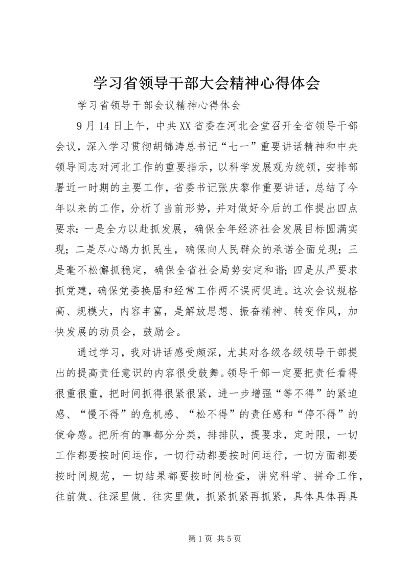 学习省领导干部大会精神心得体会.docx