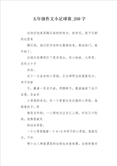 五年级作文小足球赛250字