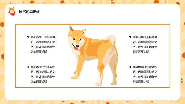 猫咪，宠物健康管理PPT模板