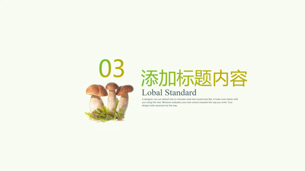 绿色植物野生菌类生长动态ppt