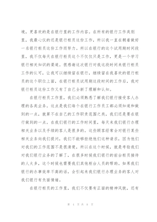 银行员工试用期转正工作总结格式.docx