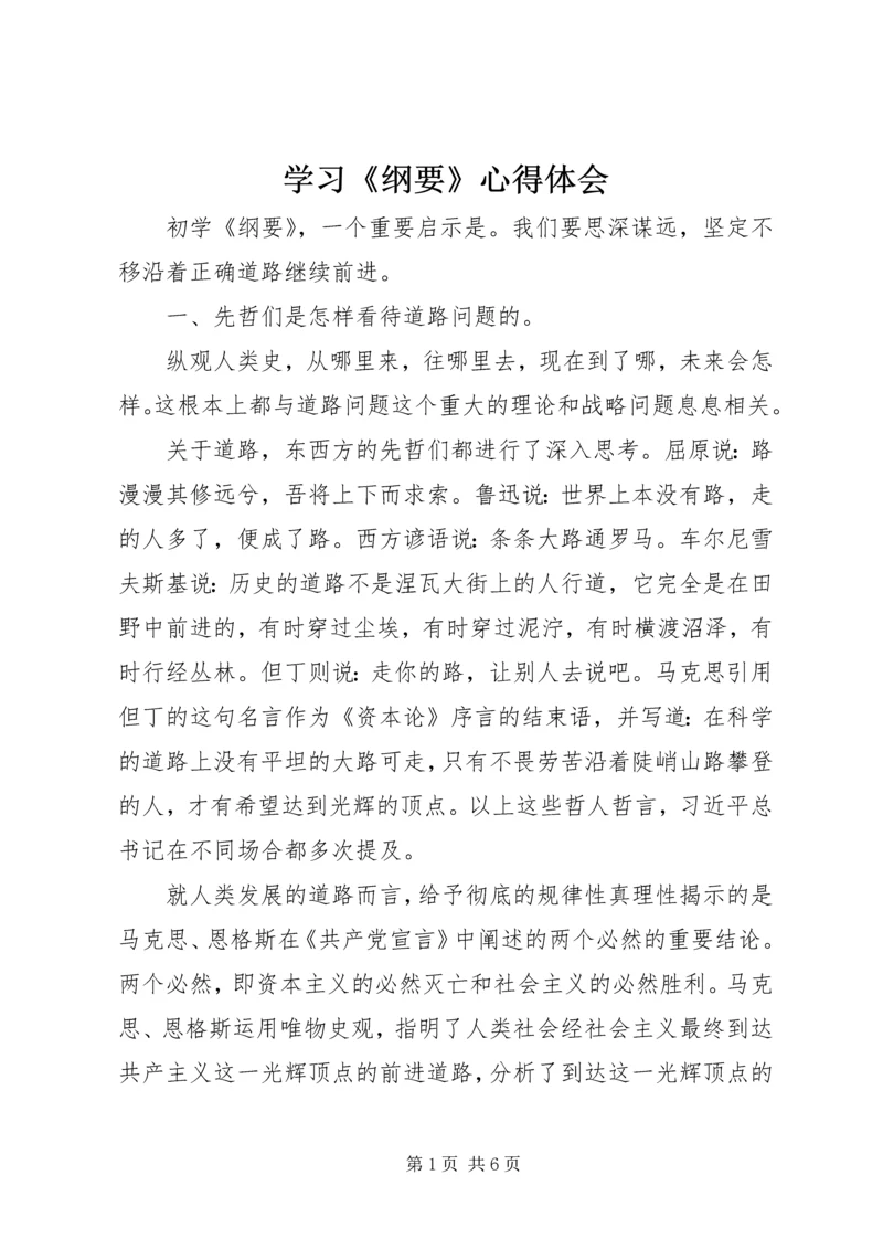 学习《纲要》心得体会 (5).docx