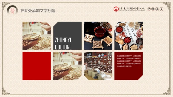 传统中医学中医院中医文化中草药PPT模板