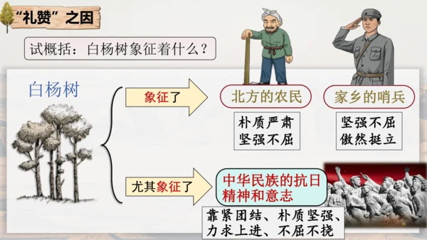 15 白杨礼赞 课件