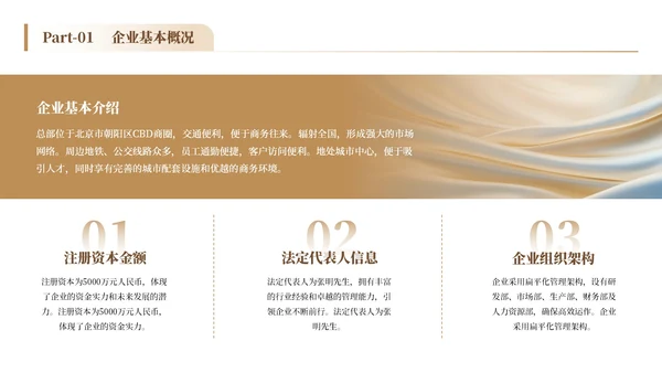 白金色简约风企业介绍通用PPT模板