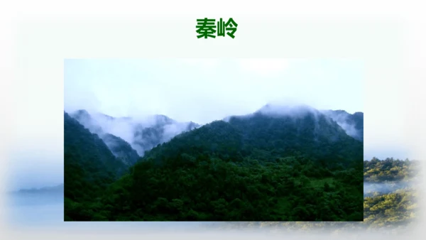 20.美丽的小兴安岭   课件