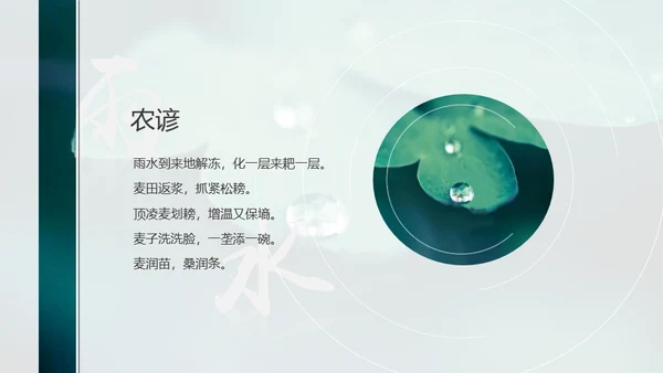 春天雨水绿叶晨露二十四节气通用PPT课件