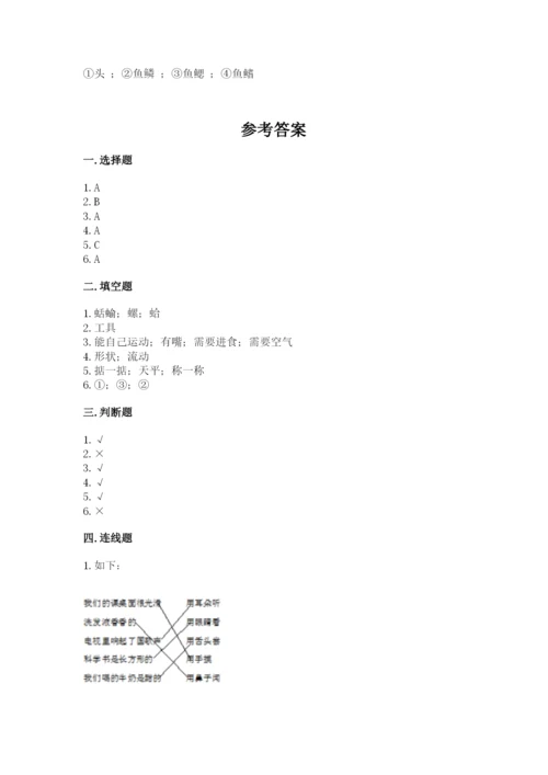 教科版小学科学一年级下册期末测试卷及参考答案（精练）.docx