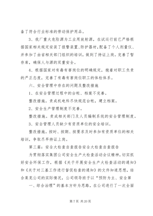 安全大检查自查报告 (2).docx