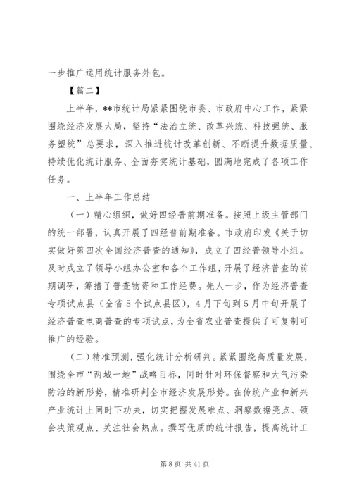 统计局上半年工作总结及下半年计划六篇精编.docx