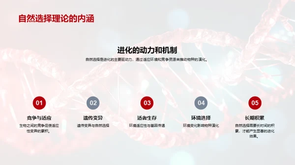 探索生物演化秘密