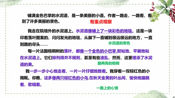 5 《铺满巴掌的水泥道》仿写指导课件