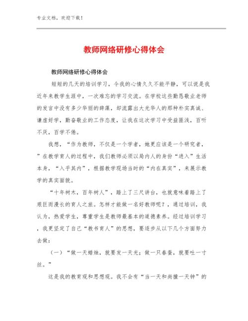 2024教师网络研修心得体会优选范文6篇.docx