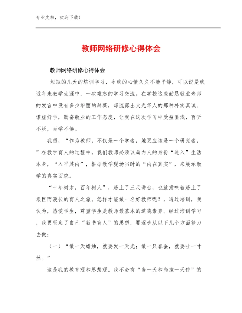 2024教师网络研修心得体会优选范文6篇.docx