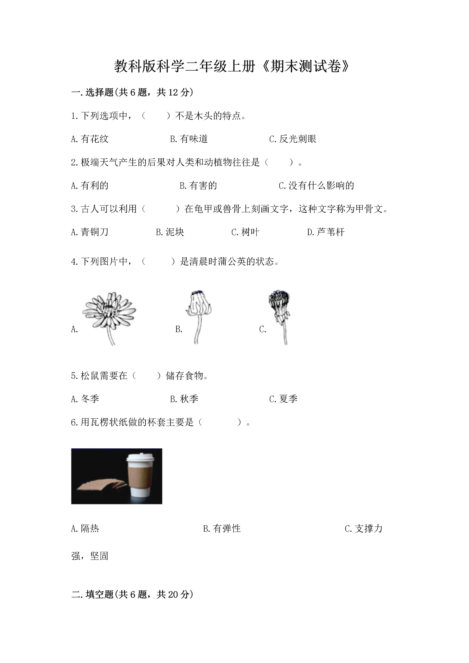 教科版科学二年级上册《期末测试卷》【实验班】.docx