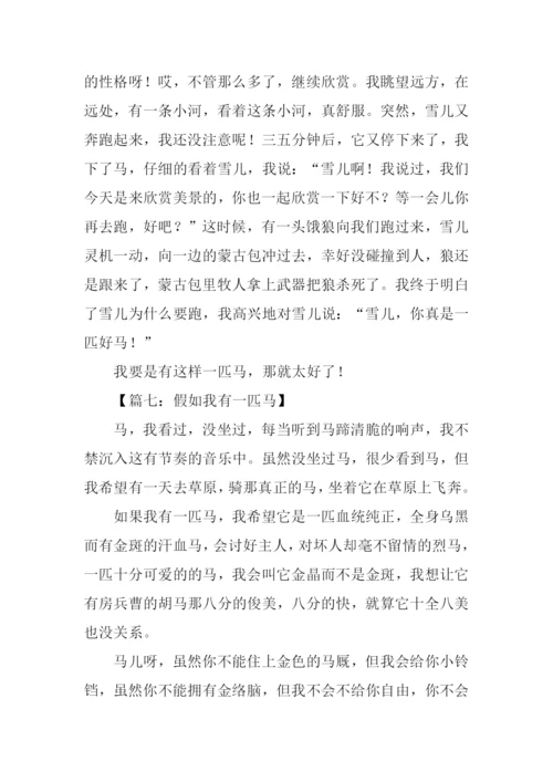 假如我有一匹马500字.docx