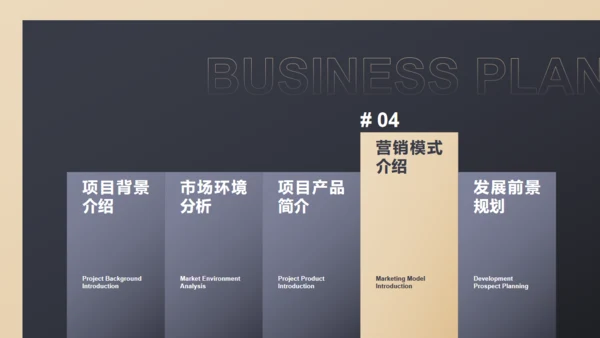 黑色商务范商业计划书通用PPT模板