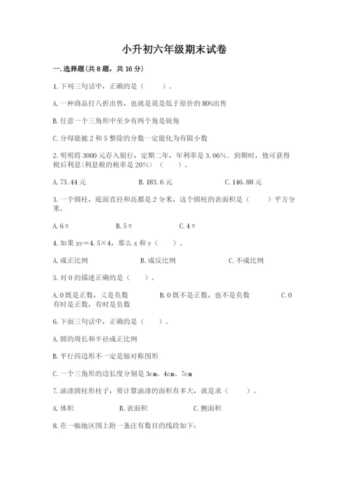 小升初六年级期末试卷（能力提升）word版.docx