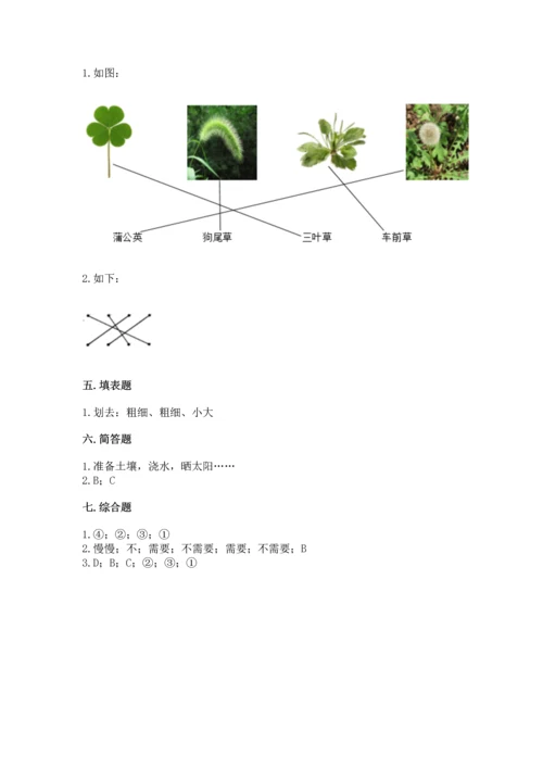 教科版科学一年级上册第一单元《植物》测试卷含完整答案（全优）.docx