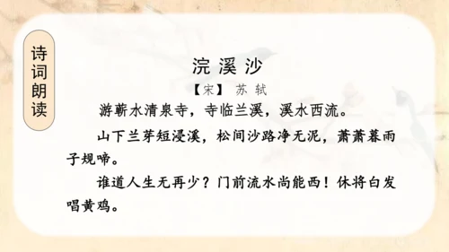 （教学课件）古诗词诵读9浣溪沙  课件